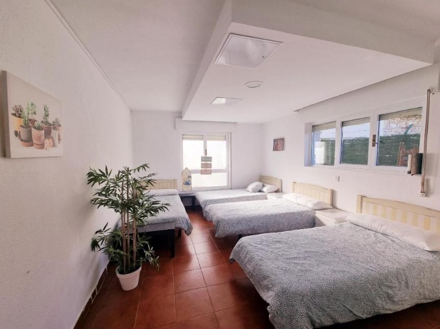 Llanes Surfcamp & Hostel 외부 사진